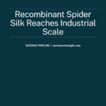 Electron microscope view of recombinant spider silk fibres produced via silkworm expression system — recombinant spider silk industrial production 2026