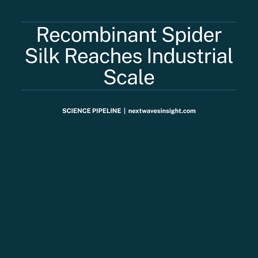 Electron microscope view of recombinant spider silk fibres produced via silkworm expression system — recombinant spider silk industrial production 2026